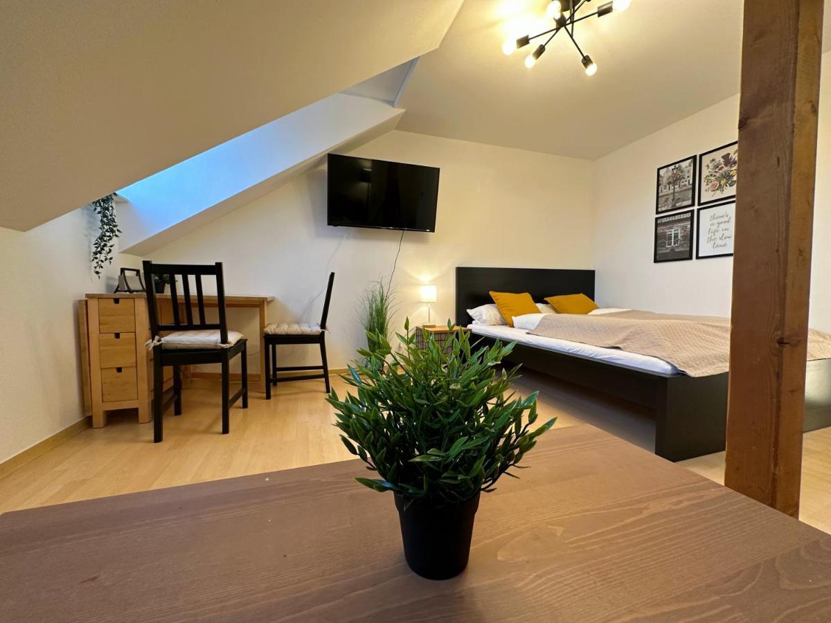 Gemuetliche, Charmante Ferienwohnung Naehe Zentrum Plauen Dış mekan fotoğraf