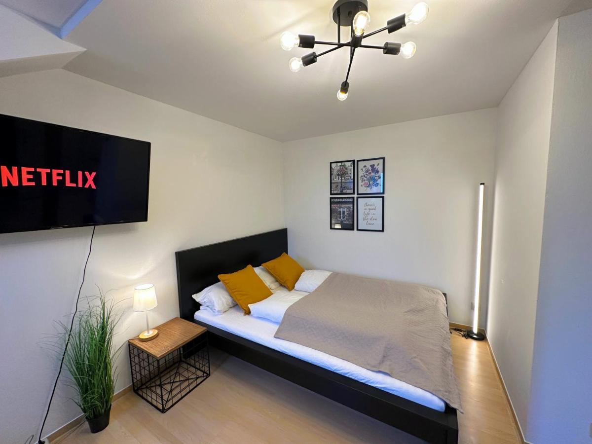 Gemuetliche, Charmante Ferienwohnung Naehe Zentrum Plauen Dış mekan fotoğraf